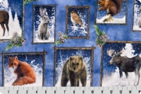 Frosty Frames Digital Cuddle® Multi