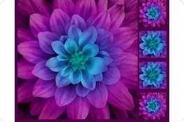 Hoffman Floral Digital Cuddle®Panel Aurora