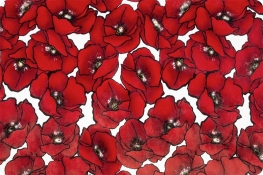Poppies Digital Cuddle® Scarlet