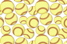 Softball Digital Cuddle&reg; Snow
