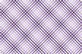 Barely Basics Check Mix Quilting Cuddle&reg; Berry
