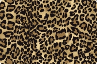 Barely Basics Leopard Quilting Cuddle&reg; Sand