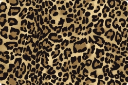 Barely Basics Leopard Quilting Cuddle&reg; Sand