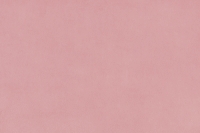 Quilting Cuddle® Solid Coral
