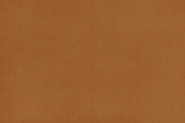 Quilting Cuddle® Solid Ginger