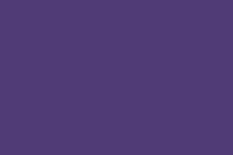 Quilting Cuddle® Solid Really Purple