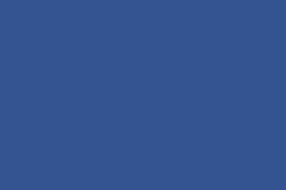 Quilting Cuddle® Solid True Blue
