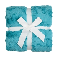Signature 60" x 72" Luxe Cuddle&reg; Blanket Glacier Teal