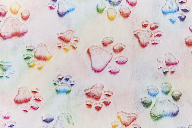 2 Yard Luxe Cuddle&reg; Cut Prism Paws Vibrant