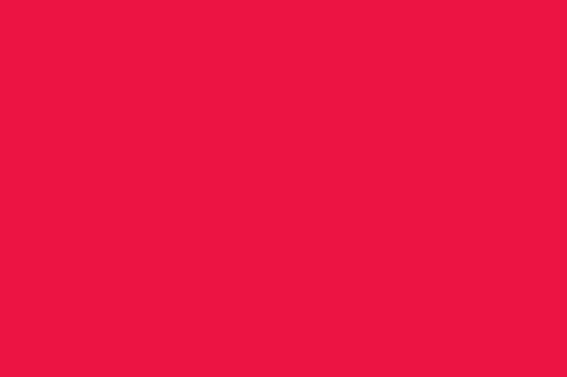 Quilting Cuddle® Solid Candy Apple
