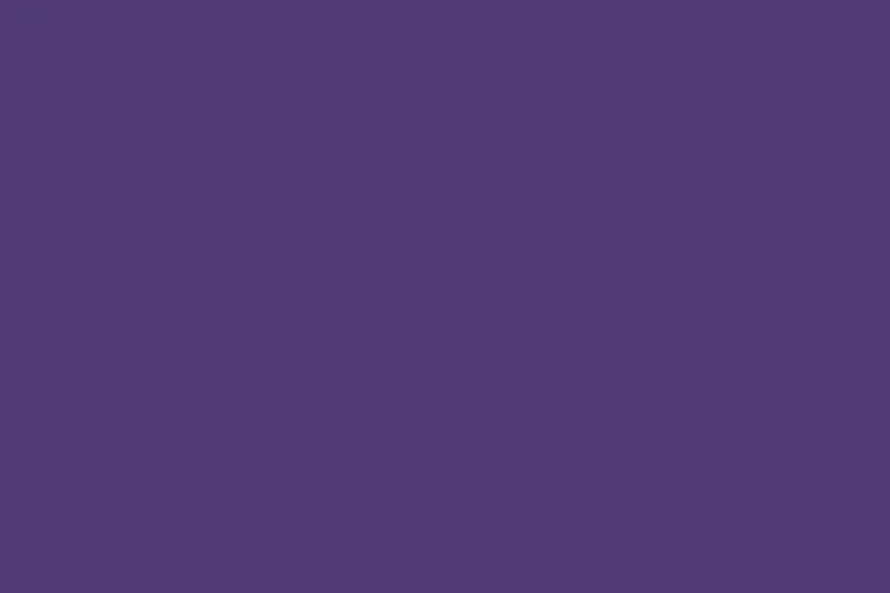 Quilting Cuddle® Solid Really Purple