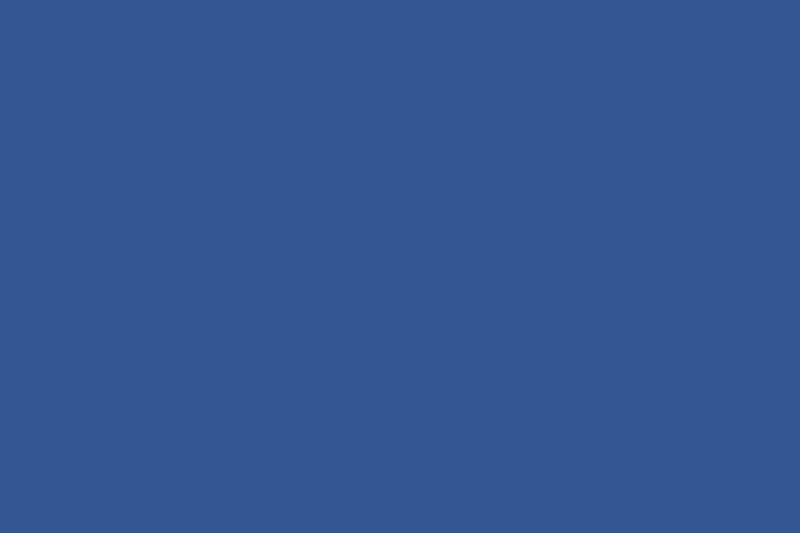 Quilting Cuddle® Solid True Blue